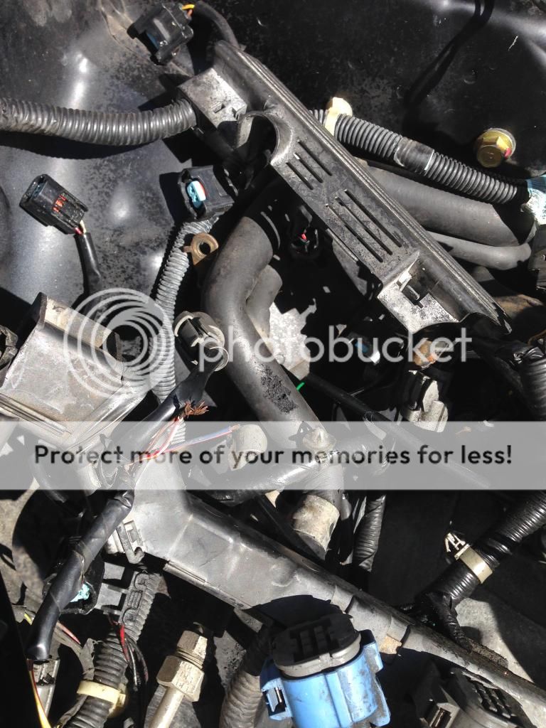 OBD2B 99 CIVIC AUTO ENGINE HARNESS IDENTIFY CONNECTORS AUTO TO MANUAL